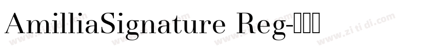 AmilliaSignature Reg字体转换